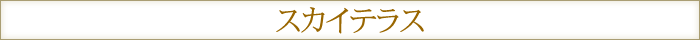 スカイテラス
